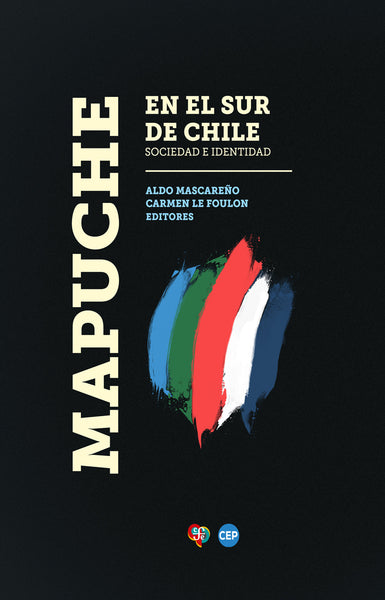 Mapuche en el sur de Chile. Sociedad e identidad