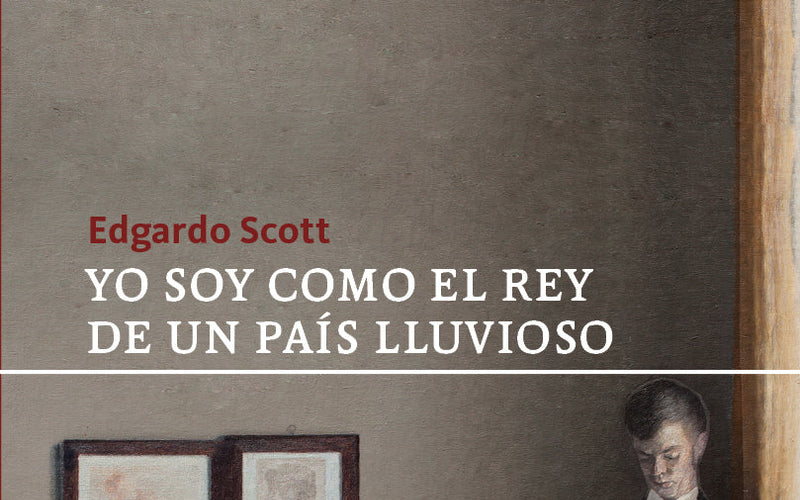 Imágenes y verosímil