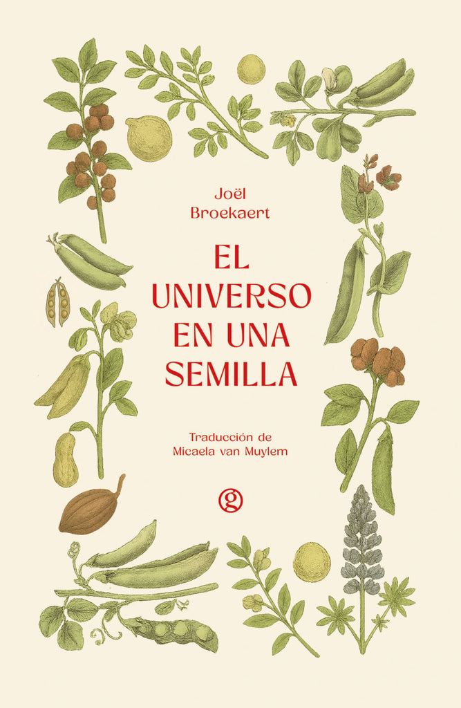 El universo en una semilla