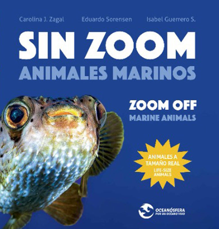 Sin Zoom. Animales marinos