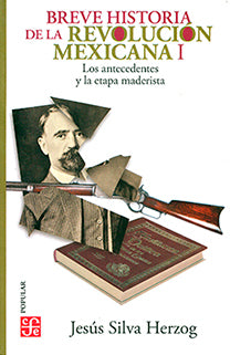 Breve historia de la Revolución mexicana, I. Los antecedentes y la etapa maderista