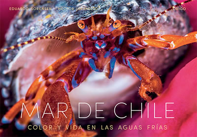 MAR DE CHILE