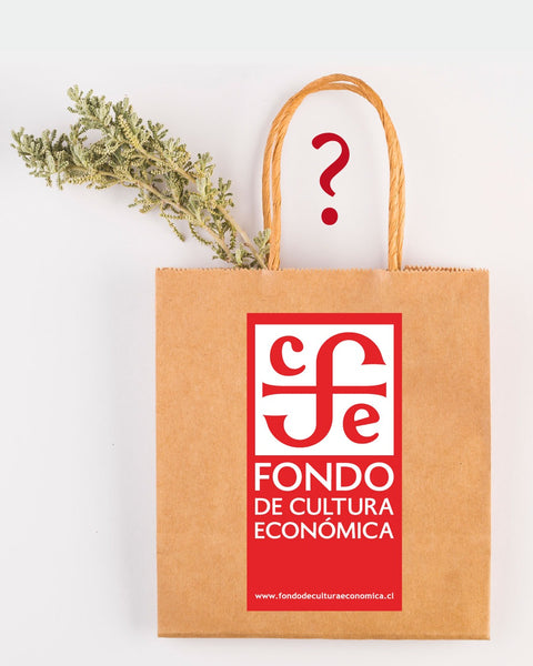 Bolsa Misteriosa Navideña