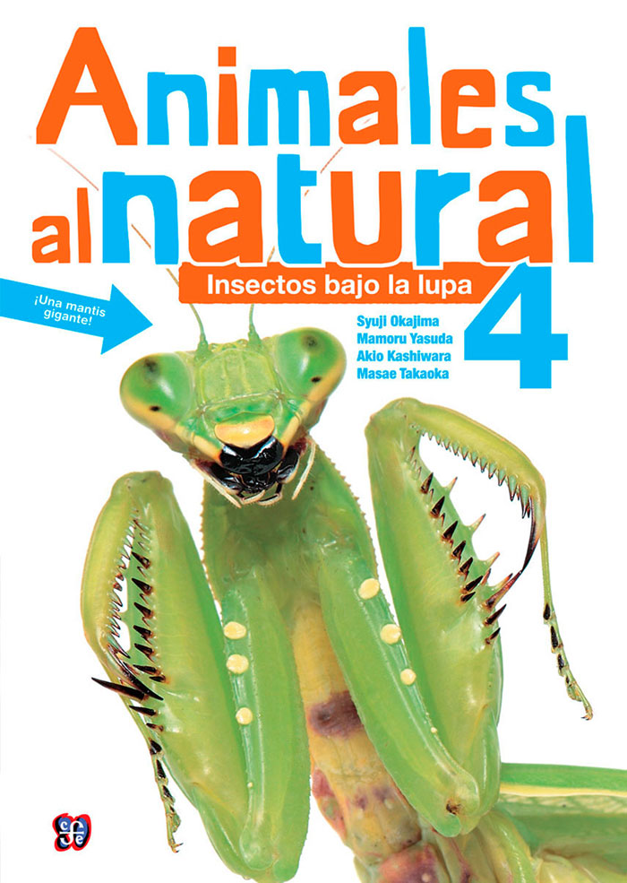 Animales al natural 4. Insectos bajo la lupa