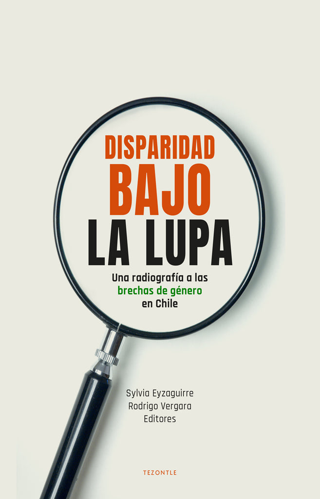 Disparidad bajo la lupa. Radiografía de las brechas de género en Chile.