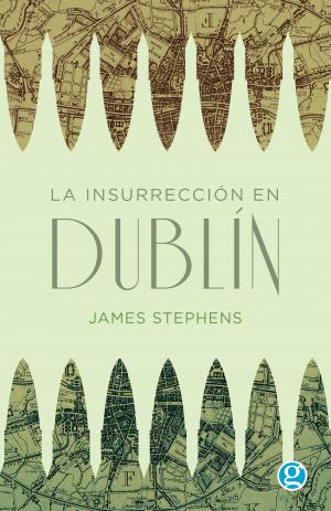 La insurrección en Dublín